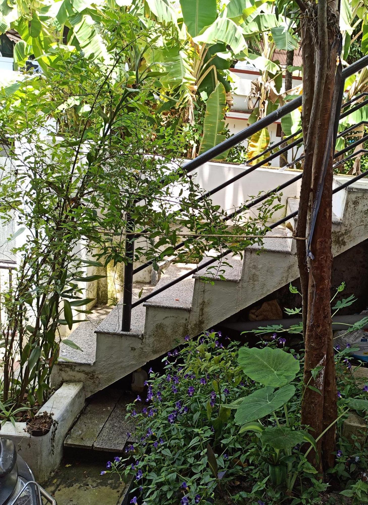 Bethesda Inn Kochi المظهر الخارجي الصورة