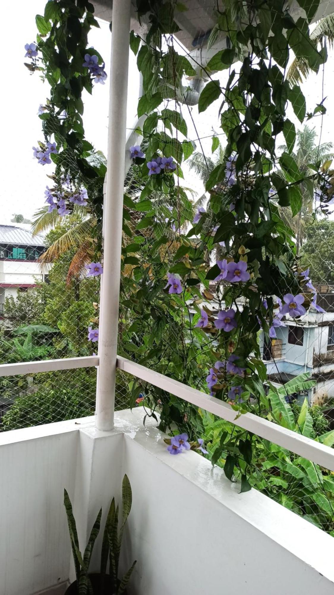Bethesda Inn Kochi المظهر الخارجي الصورة